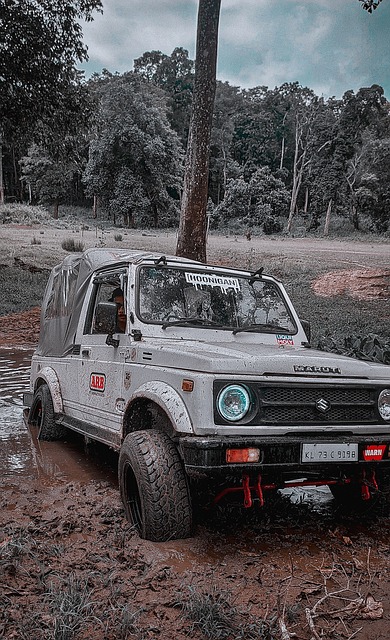 国乒香港训练！王楚钦一身黄好亮眼，莎莎苦练反手，陈幸同回归