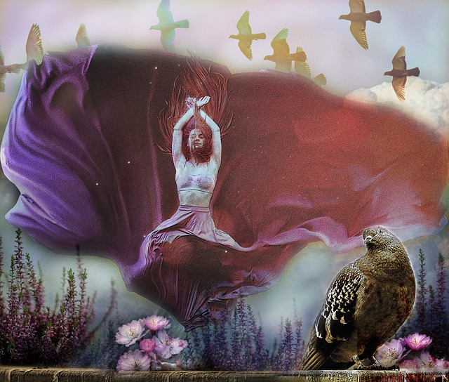 足协杯决赛——中国足坛本年度最后一场焦点战！明晚...